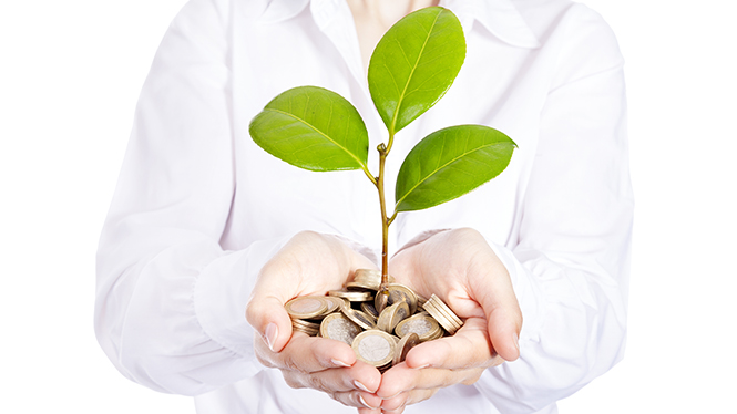 Na sliki oseba v beli srajci v rokah drži kup kovancev, iz katerih raste zelena rastlina.