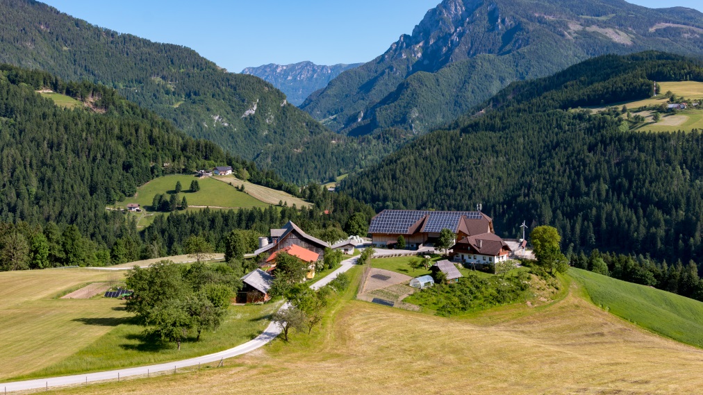 Solarni paneli na travniku