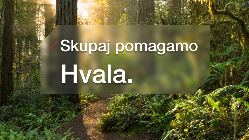Gozdna pot v sončni svetlobi, čez sredino je polprozoren pravokotnik z napisom »Skupaj pomagamo. Hvala.«