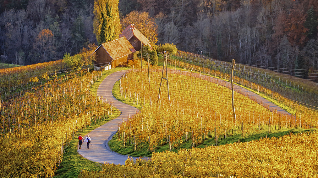 Ljubezen je v zraku: kam na zmenek?