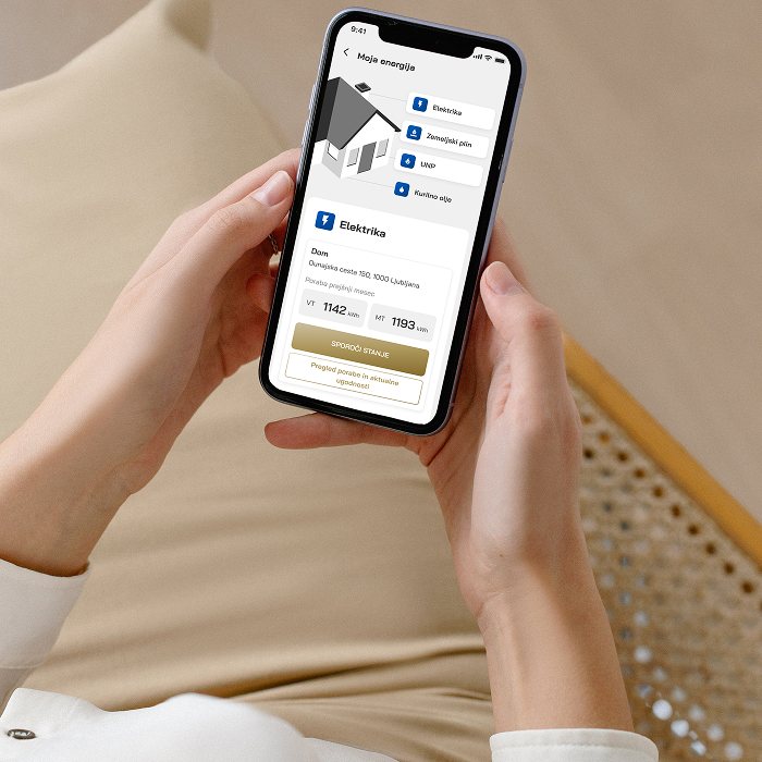 Na sliki je prikazana oseba, ki v rokah drži pametni telefon z odprto aplikacijo za pregled storitev ali paketa.